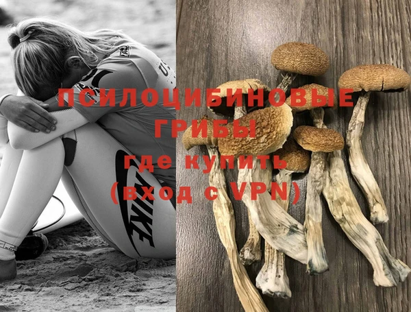 apvp Красноперекопск