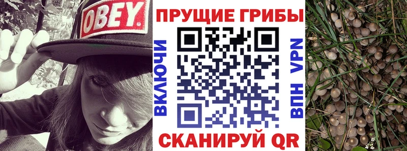 Псилоцибиновые грибы мухоморы  сколько стоит  Любим 